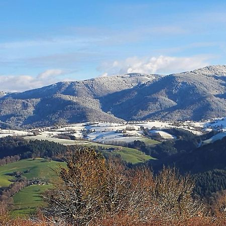 Ferienwohnung Birkental Ebringen Экстерьер фото