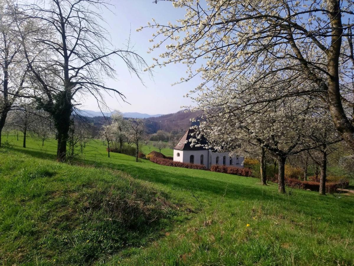 Ferienwohnung Birkental Ebringen Экстерьер фото