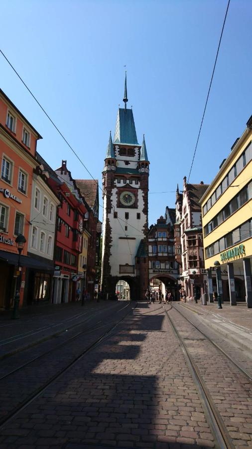 Ferienwohnung Birkental Ebringen Экстерьер фото