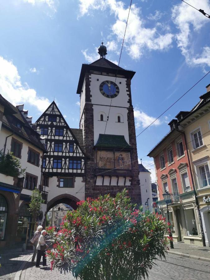 Ferienwohnung Birkental Ebringen Экстерьер фото