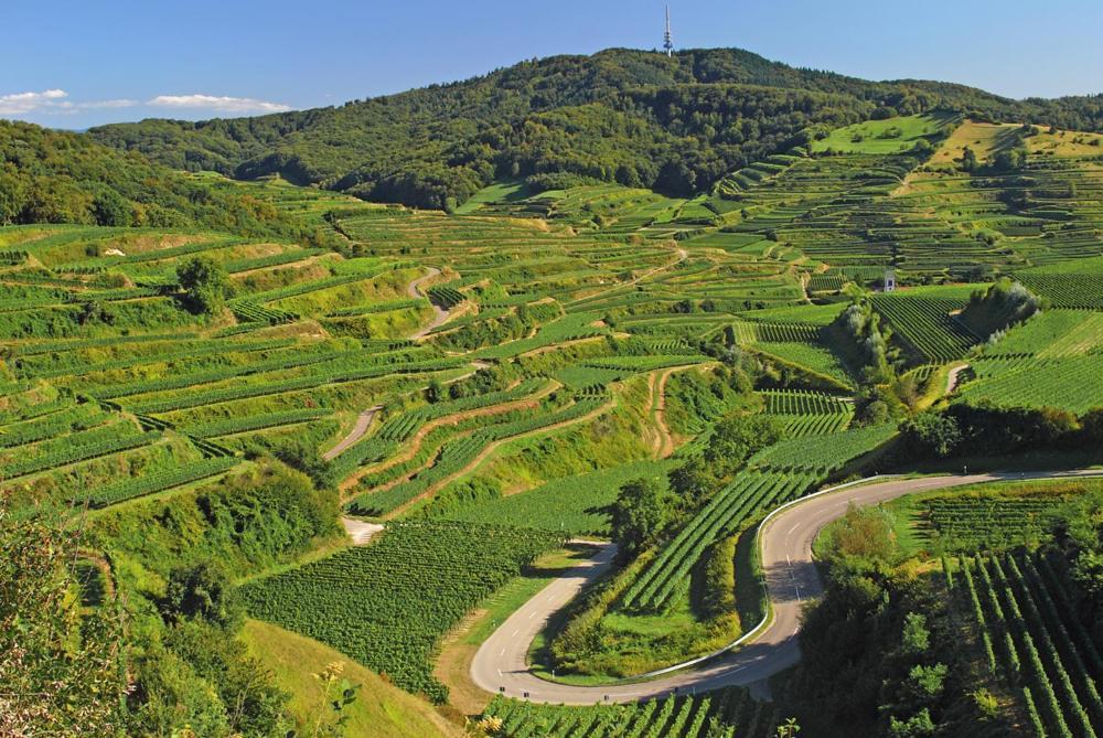 Ferienwohnung Birkental Ebringen Экстерьер фото