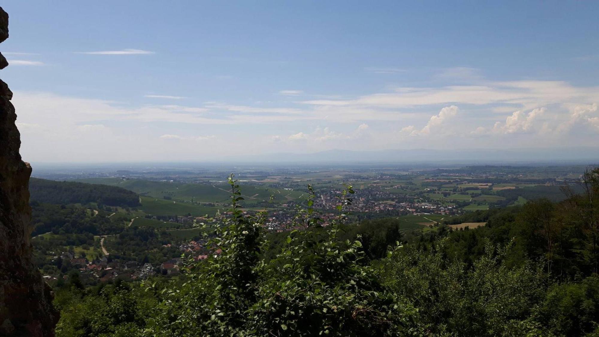Ferienwohnung Birkental Ebringen Экстерьер фото