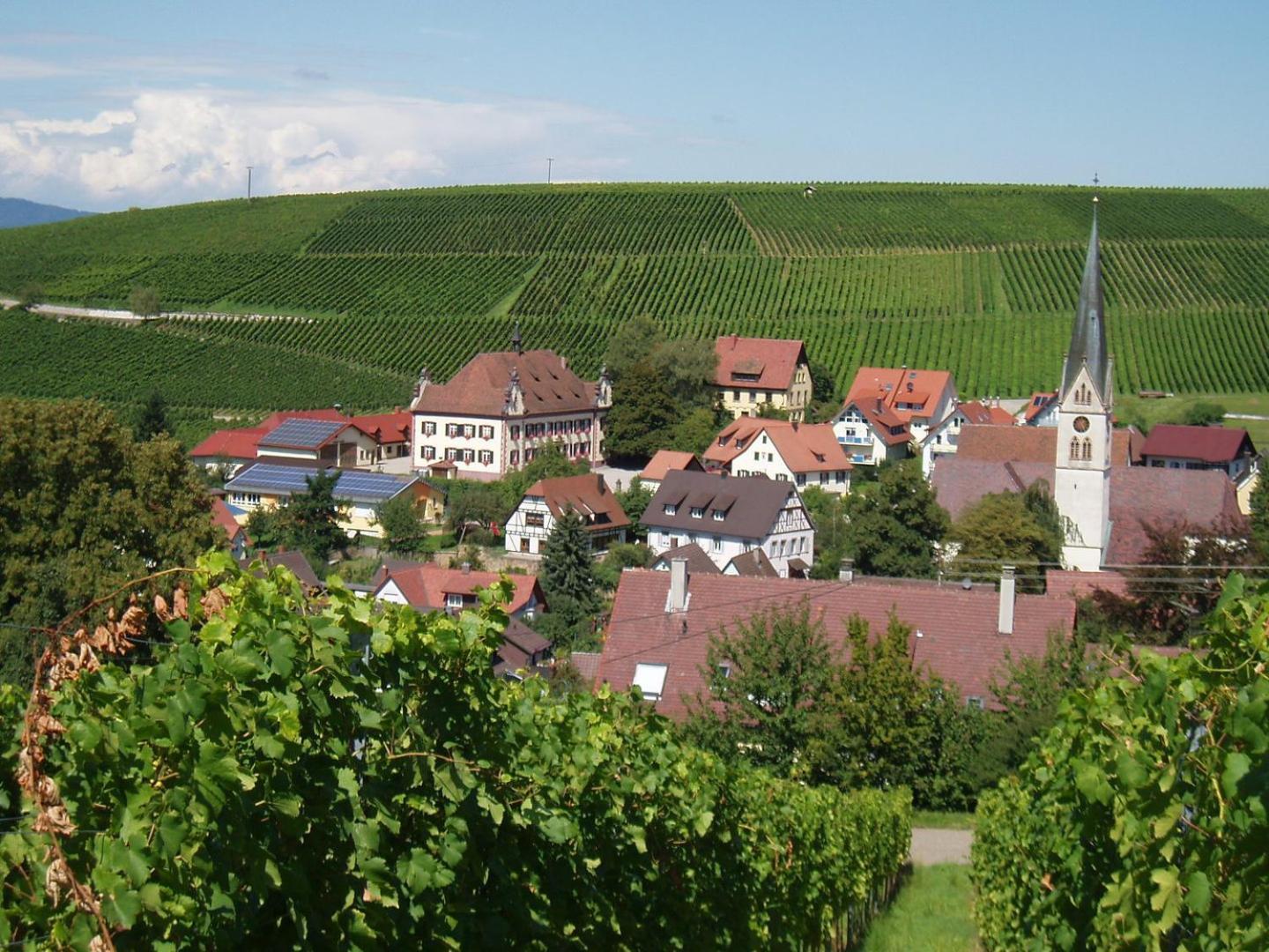 Ferienwohnung Birkental Ebringen Экстерьер фото